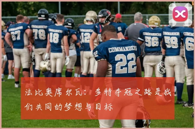 法比奥席尔瓦：多特夺冠之路是我们共同的梦想与目标