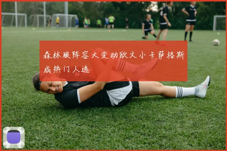 森林狼阵容大变动欧文小卡萨格斯成热门人选