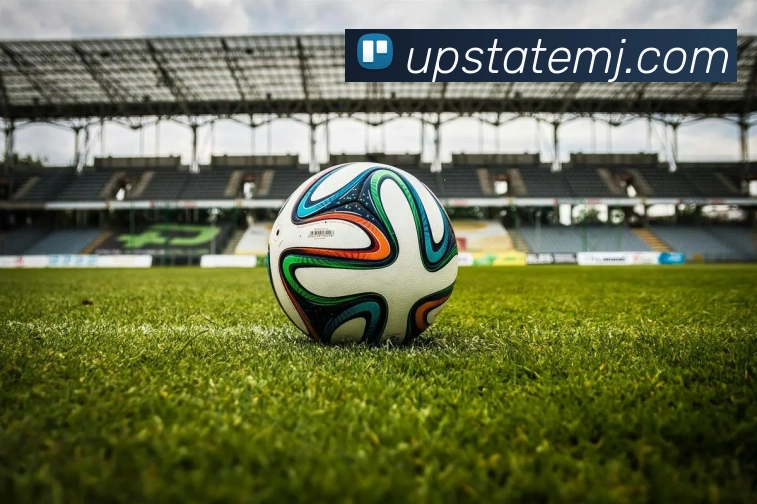 hth体育平台官网入口服务体系